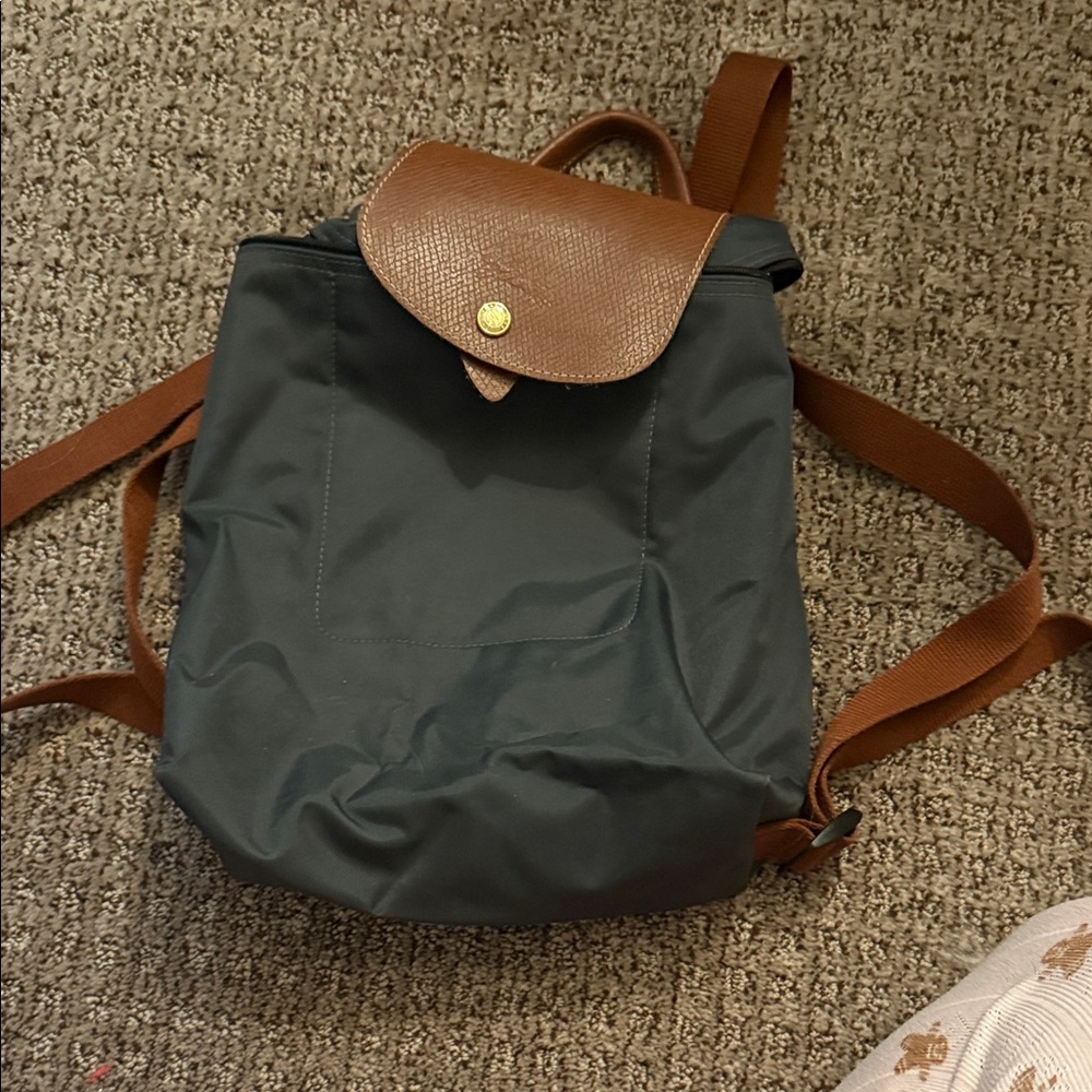 Longchamp Backpack grey